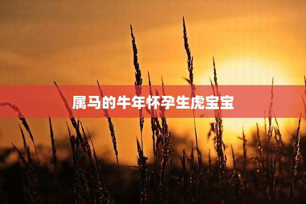 属马的牛年怀孕生虎宝宝