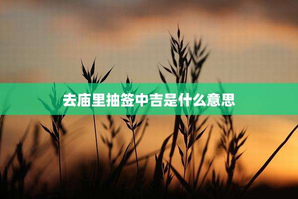 去庙里抽签中吉是什么意思