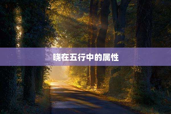 晓在五行中的属性