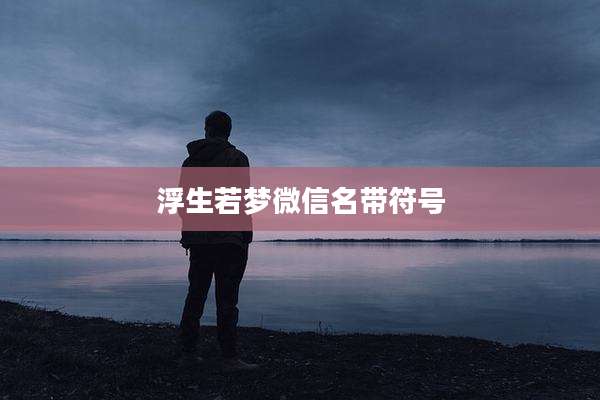 浮生若梦微信名带符号