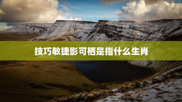 技巧敏捷影可栖是指什么生肖