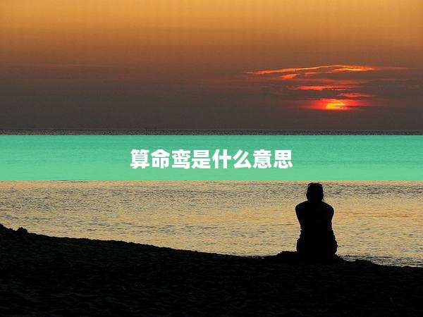 算命鸾是什么意思