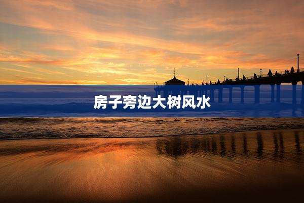 房子旁边大树风水