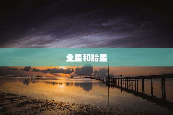 业星和胎星