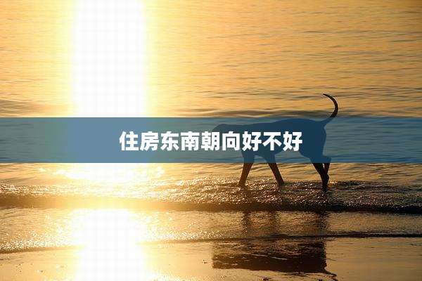 住房东南朝向好不好