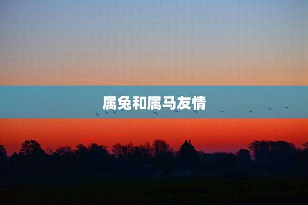 属兔和属马友情
