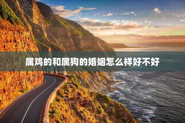 属鸡的和属狗的婚姻怎么样好不好