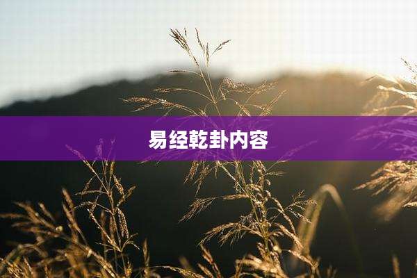 易经乾卦内容
