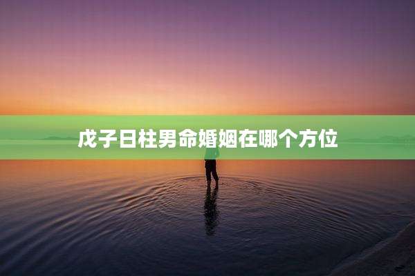 戊子日柱男命婚姻在哪个方位