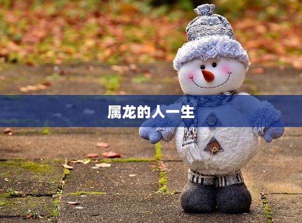 属龙的人一生