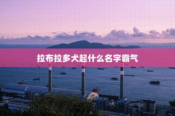 拉布拉多犬起什么名字霸气