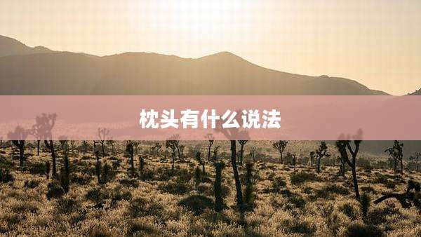 枕头有什么说法