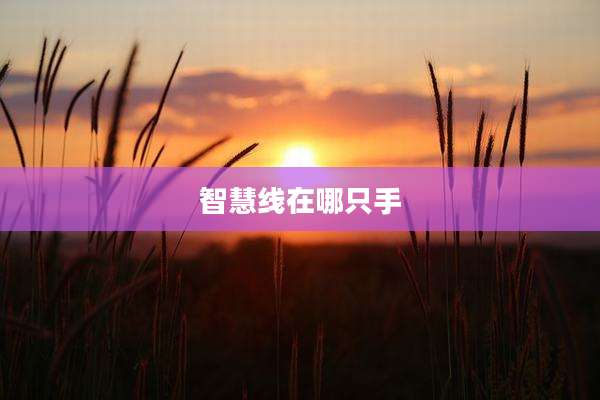 智慧线在哪只手