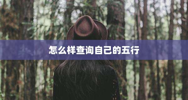 怎么样查询自己的五行