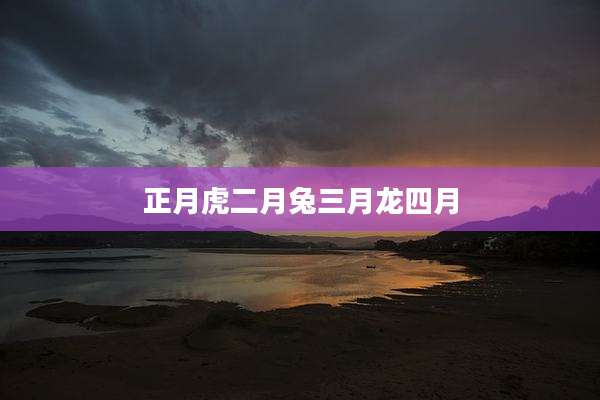 正月虎二月兔三月龙四月
