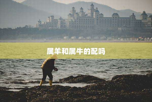 属羊和属牛的配吗