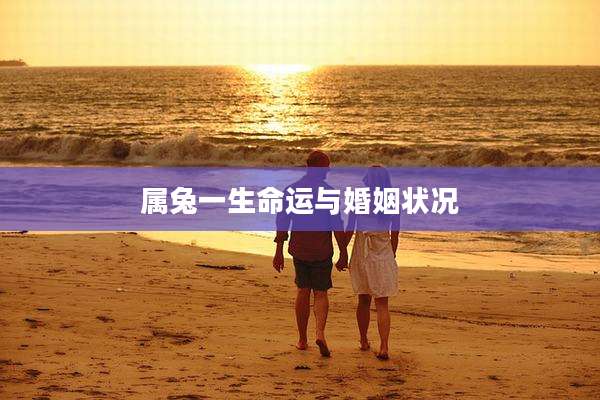 属兔一生命运与婚姻状况