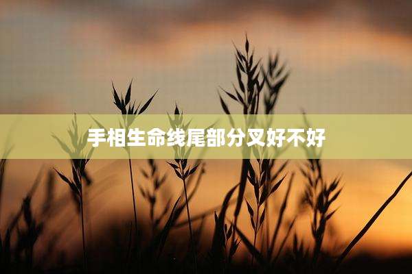手相生命线尾部分叉好不好