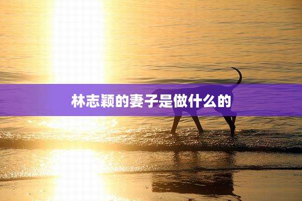 林志颖的妻子是做什么的