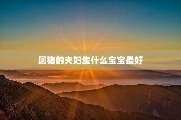 属猪的夫妇生什么宝宝最好