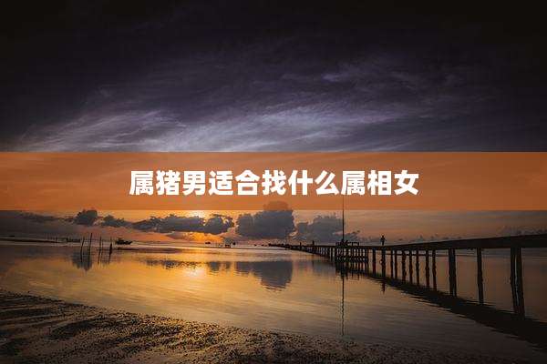 属猪男适合找什么属相女