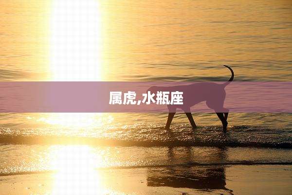 属虎,水瓶座