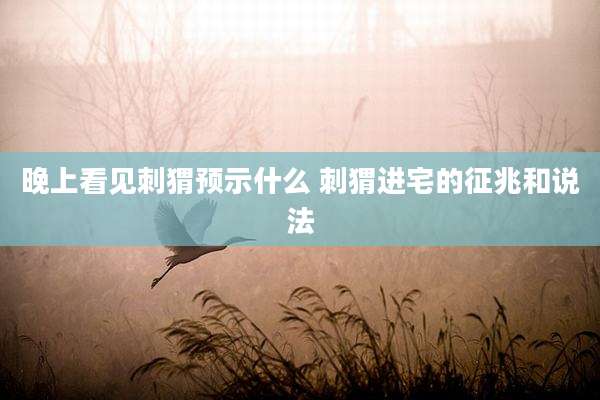 晚上看见刺猬预示什么 刺猬进宅的征兆和说法