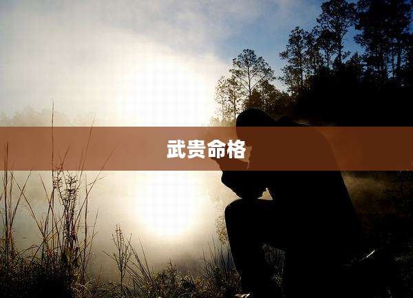 武贵命格