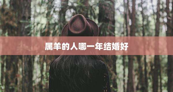 属羊的人哪一年结婚好