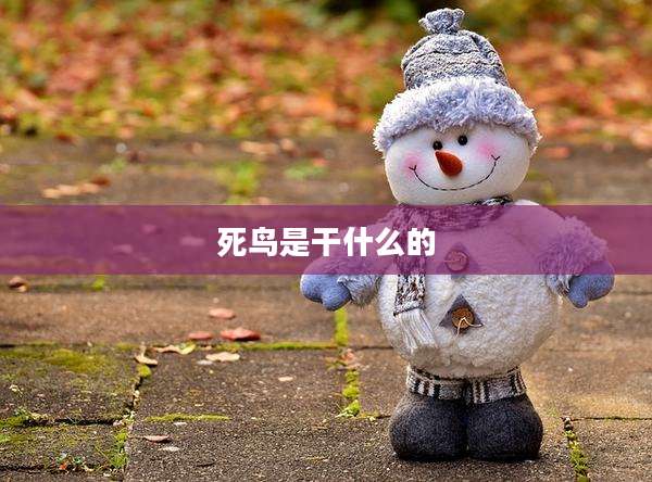 死鸟是干什么的