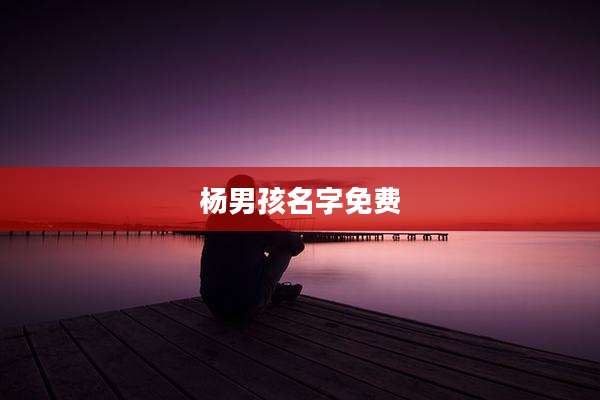 杨男孩名字免费