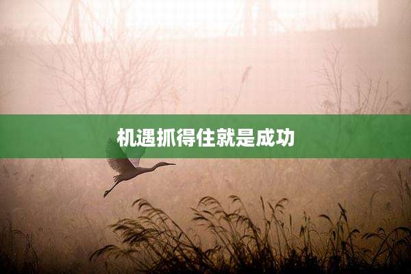 机遇抓得住就是成功