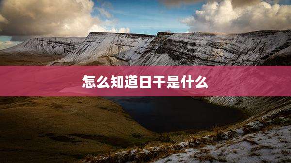 怎么知道日干是什么