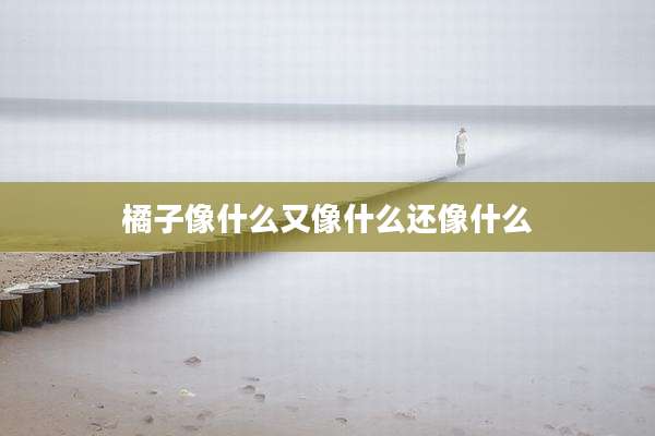 橘子像什么又像什么还像什么