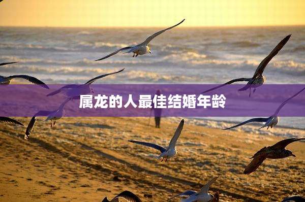属龙的人最佳结婚年龄