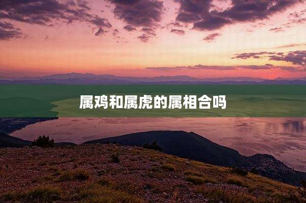 属鸡和属虎的属相合吗