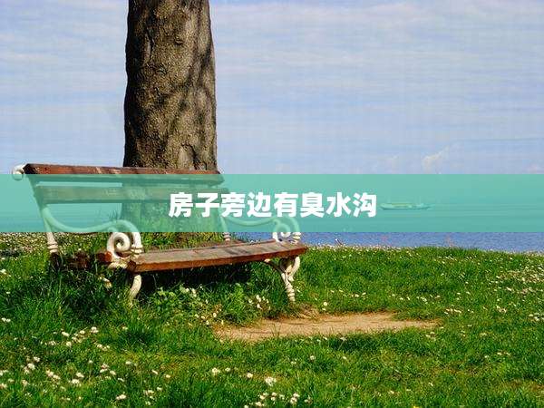 房子旁边有臭水沟