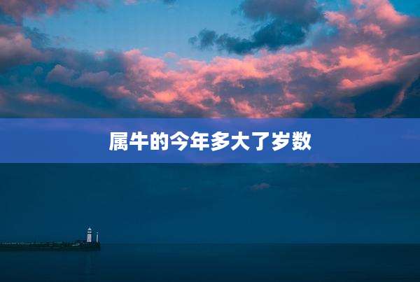 属牛的今年多大了岁数