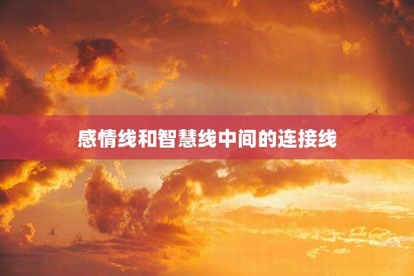 感情线和智慧线中间的连接线