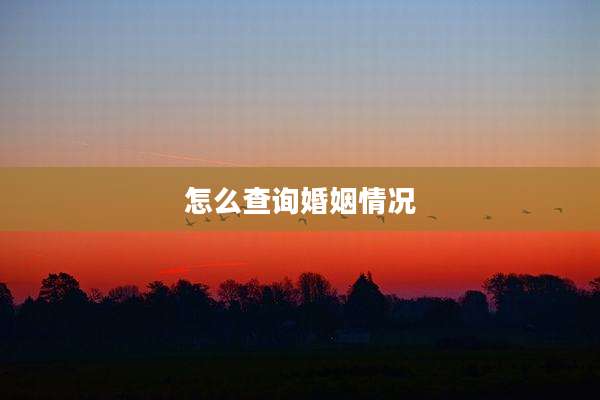 怎么查询婚姻情况