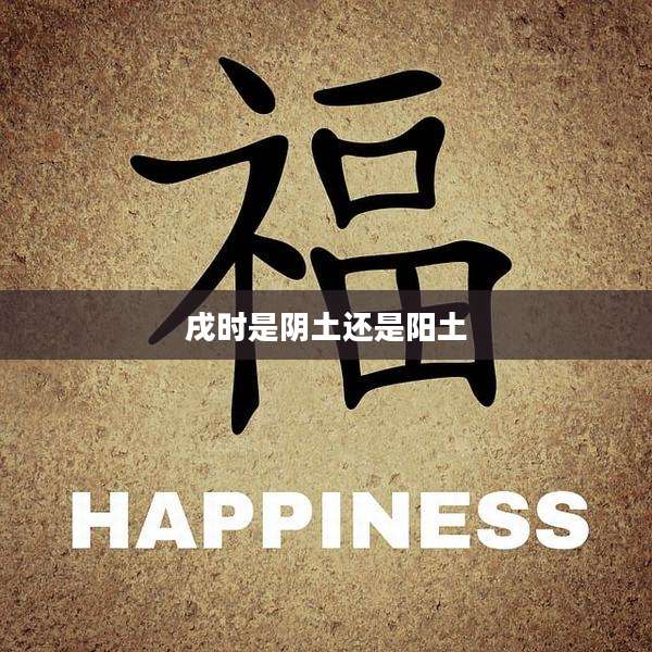 戌时是阴土还是阳土