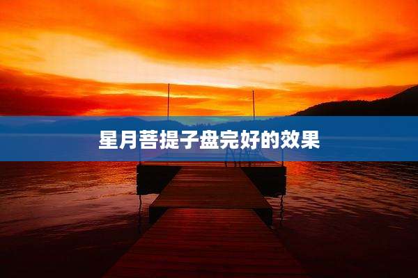 星月菩提子盘完好的效果
