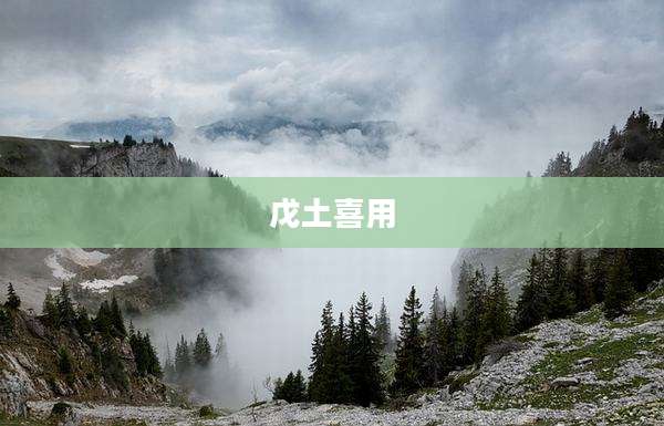 戊土喜用