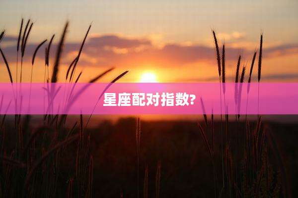 星座配对指数?