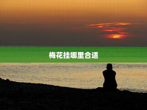 梅花挂哪里合适