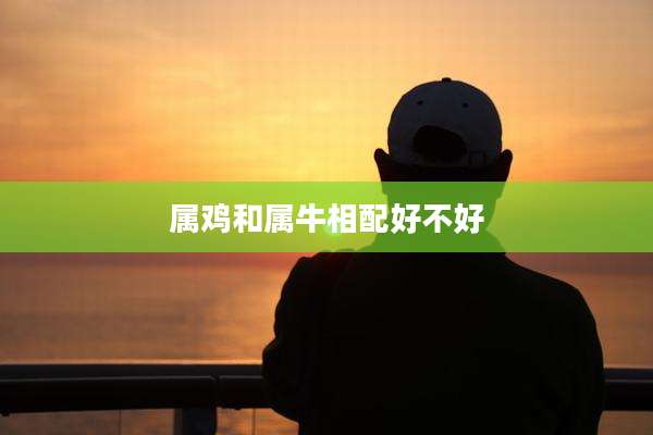 属鸡和属牛相配好不好