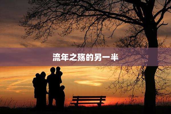 流年之殇的另一半
