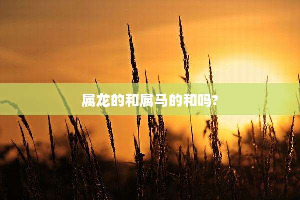 属龙的和属马的和吗?