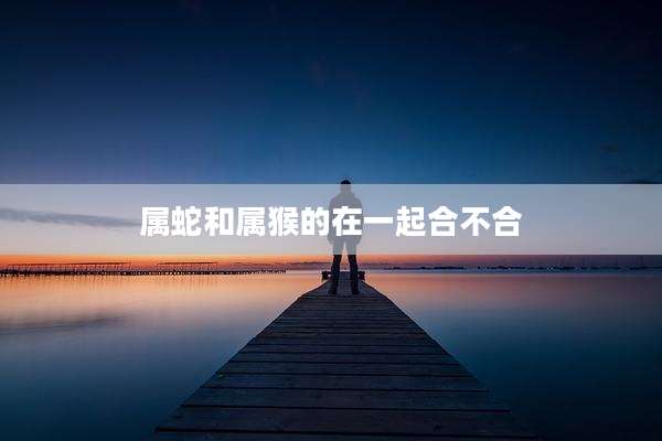 属蛇和属猴的在一起合不合