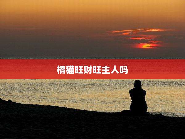 橘猫旺财旺主人吗